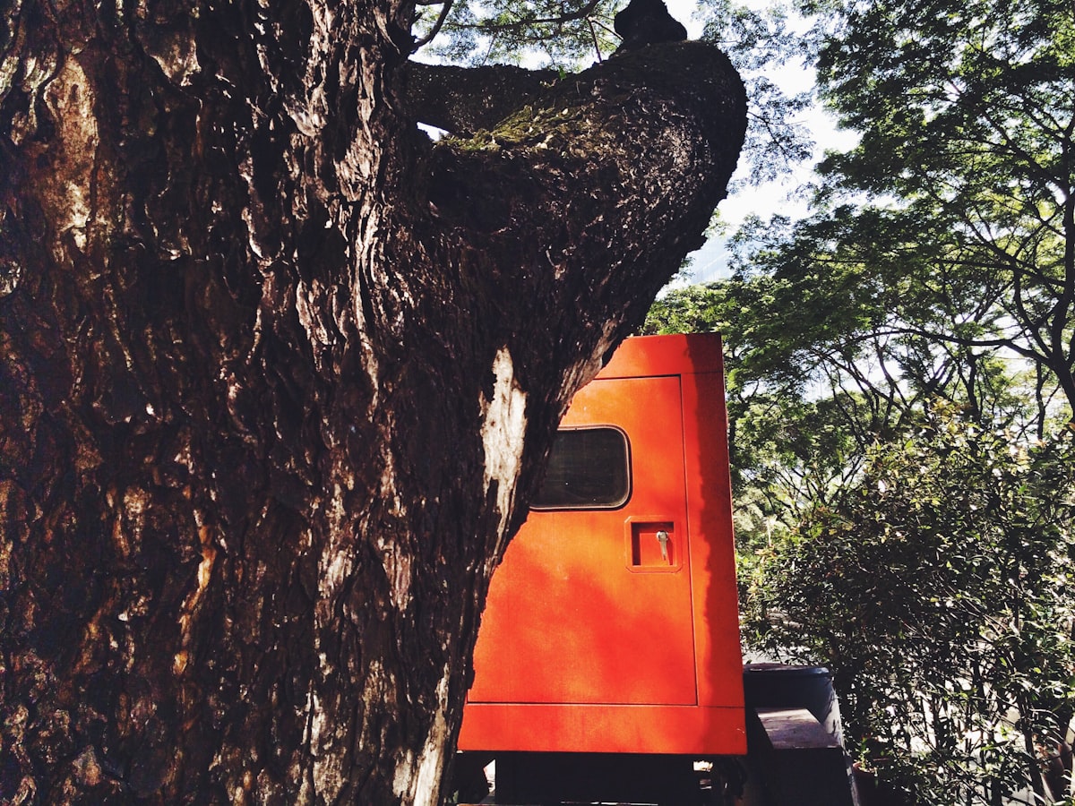 Double E's Tree Service